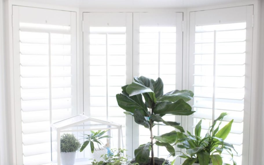 Bay window with Plantation shutters